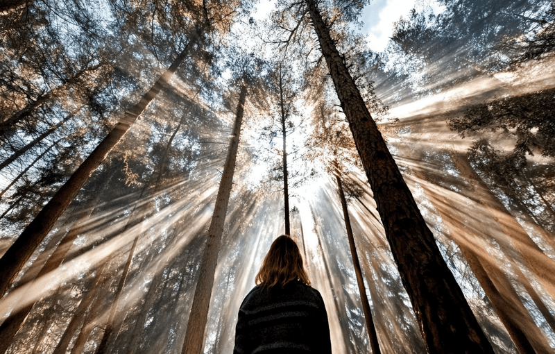 How to Bring Back Love into the Grey Everyday Life